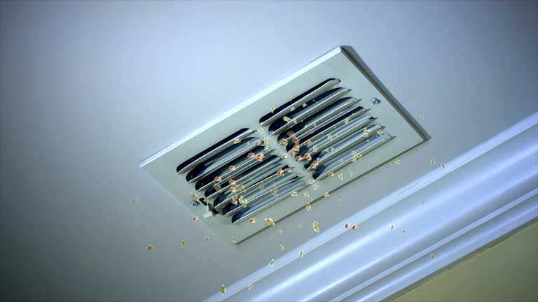 Best Emergency Air Duct Cleaning  in Houghton, MI