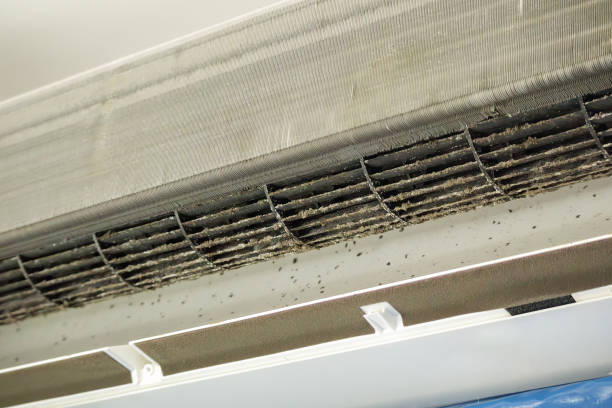Best Local Air Duct Cleaning Services  in Houghton, MI